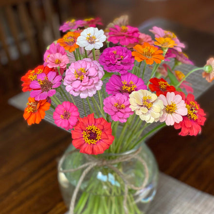 How to Arrange Zinnias (or any fresh cut flowers) in a Vase and Other Ideas